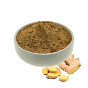 Food Grade Black Ginger/Ginger/Ginger Root Extract