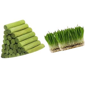 Snacks <span class=keywords><strong>de</strong></span> Hierba Gatera Liofilizada con Logotipo Personalizado, Ricos <span class=keywords><strong>en</strong></span> Proteína <span class=keywords><strong>de</strong></span> Pollo, Limpian los Dientes, Protegen <span class=keywords><strong>el</strong></span> Estómago, Tratamiento para Gatos - Product Image 4