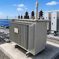 Transformateur immergé dans l'huile S13 13,8 kV 11 kV 300 kVA 500 kVA pour site minier avec parafoudre intégré – Fabricant professionnel