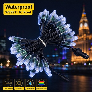 Luces LED Pixel Light Impermeables Ws2811 Xconnect Ucs2904 12v para Exteriores e Interiores, Luces Navideñas LED - Product Image 1