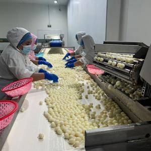 Œufs de caille fraîchement bouillis, pelés, emballés sous vide, qualité supérieure, Ovo De Codorna, Oeuf De Caille en conserve - Product Image 3