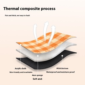 Jiangsu Ins estilo espessado couro cinta acampamento ao ar livre umidade-prova praia esteira inflável piquenique pano colchão - Product Image 6