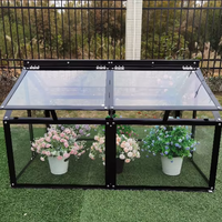 Mini serre extérieure en aluminium, bac de culture en polycarbonate pour plantes, protection des plantes, jardin, fleurs, légumes