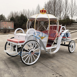 2026 Carrosse de mariage classique de luxe en acier, modèle citrouille, pour 4 à 8 personnes, blanc, pour transport spécial, à vendre - Product Image 5