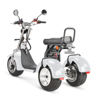 Scooter électrique à trois roues 2026, unisexe, pliable, étanche, batterie au lithium, tricycle cargo, 3 roues, autonomie de 60 à 80 km
