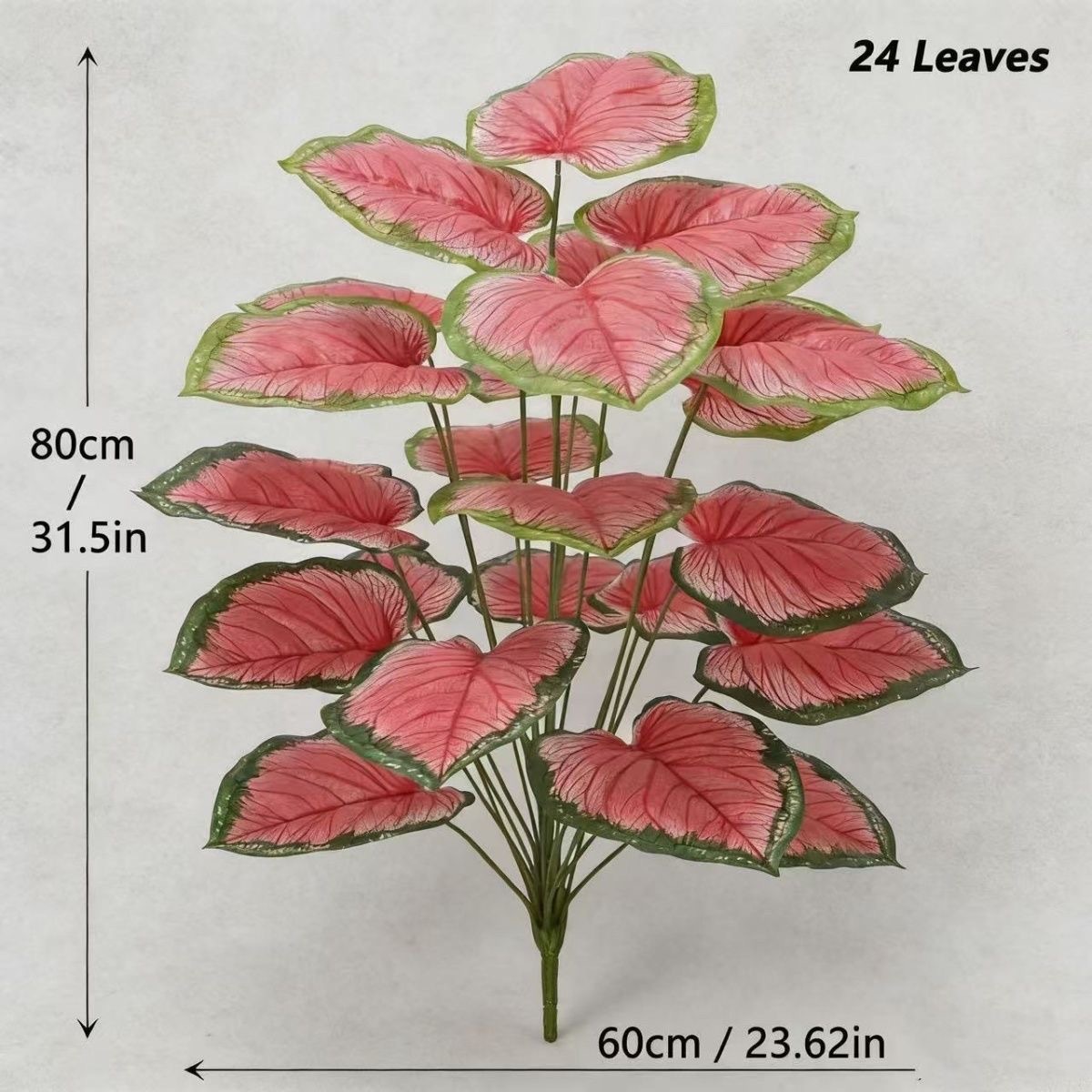 Calebasse à 24 feuilles - Pêche rouge [Sections séparées]