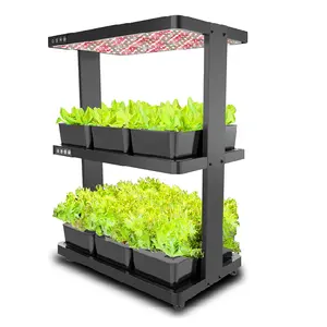 Grondloze Teelt Verticale Hydrocultuur Systeem Smart Tuin Indoor