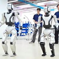 Robot Humanoid |   Robot Bipedal Edukasi & Penelitian ROBAN 2