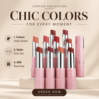 Kit lèvres 2 en 1 : crayon contour des lèvres et rouge à lèvres mat, imperméable, anti-bavures, 8 teintes, ensemble de maquillage cosmétique pour les lèvres