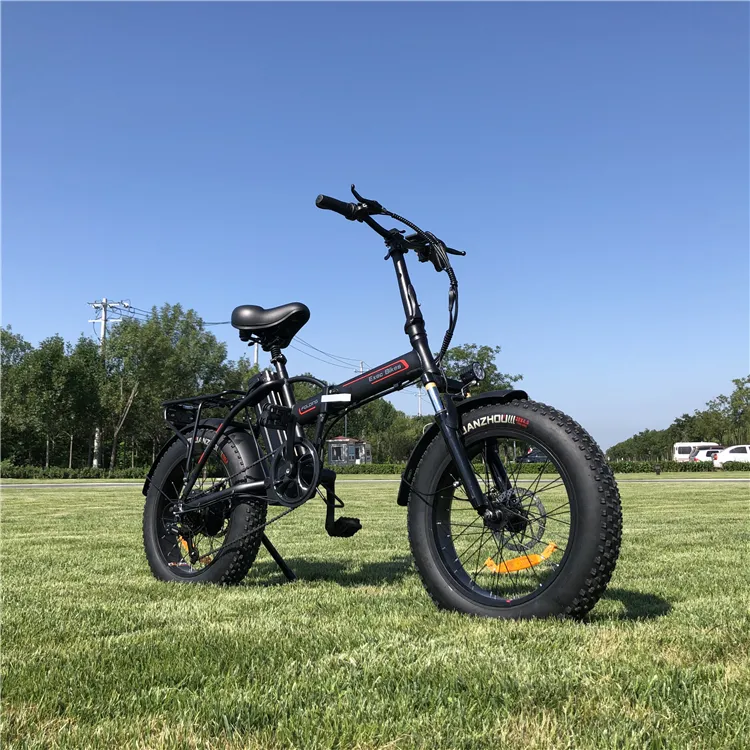 Electric bike new products suspension 20"electric bicycle mountain with fat tire/Dual batteries 48v 1000w snow electric bicycle