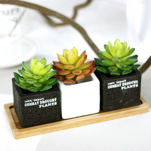 2024 10cm Planta artificial <span class=keywords><strong>Echeveria</strong></span> Lenore Dean interior suculenta - Product Image 6