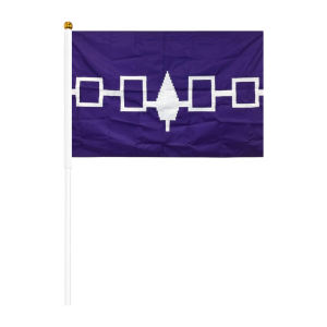 Banderas Pequeñas Personalizadas de Groenlanda en Asta, Mini Bandera de Mano de EE. UU. <span class=keywords><strong>para</strong></span> Eventos, Banderas Duraderas de 5x8 Pulgadas con Astas de 12 Pulgadas - Product Image 2