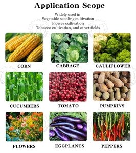 เครื่องเพาะเมล็ด<span class=keywords><strong>ผัก</strong></span>ความแม่นยำสูงเครื่องเพาะ<span class=keywords><strong>เมล็ด</strong></span>พืชอัตโนมัติเต็มรูปแบบ - Product Image 2