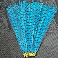 Plumes de faisan Lady Amherst teintées de haute qualité, plusieurs tailles, colorées, pour déguisements, fêtes, décorations de mariage