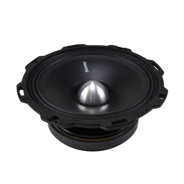 Deep Bass 8 Inch Subwoofer Speaker Vibration Resistant Car Amplifiers and Subwoofer Audio