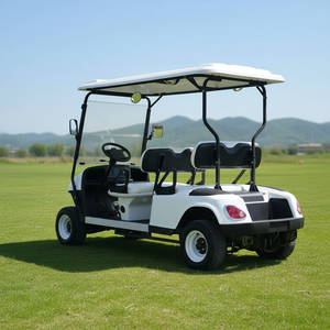 Voiturette de golf électrique 4-6 places avec sièges de luxe pour attraction touristique - Product Image 3
