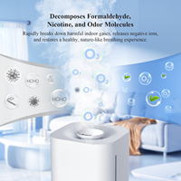 Humidificateur d'air à ozone pour la maison, grand salon, avec fonction de purification à l'ozone 2 en 1