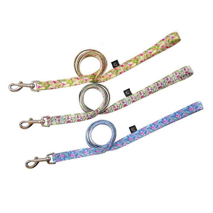Wholesale Pet Traction Rope, Nylon Dog Leashes Fur Decoration Explosion
