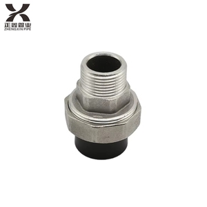 Yixin <span class=keywords><strong>Threaded</strong></span> polyethylene ống phụ kiện nhựa Ống Nước Nam/Nữ <span class=keywords><strong>Coupler</strong></span> HDPE khớp nối - Product Image 2