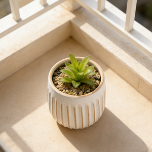 Macetas de Cerámica con Textura, Estilo Nórdico, Duraderas, para Suculentas, Color Blanco, para Hogar, Oficina, Jardín, Balcón - Product Image 2