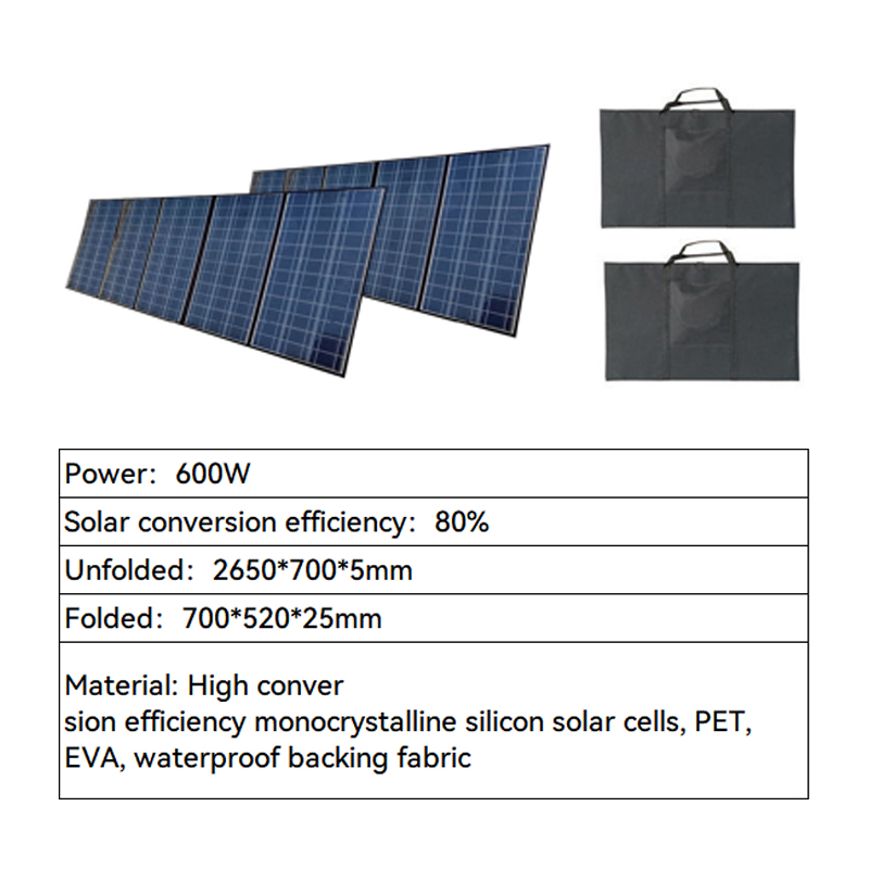 Panel Solar de 600W