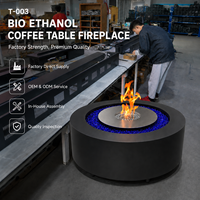 Table de foyer au bioéthanol ronde, pour intérieur et extérieur, cheminée au bioéthanol, table basse avec brûleur en acier inoxydable