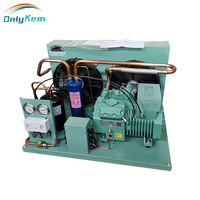 Unidad de condensación al aire libre, unidad de condensación Bitzer para sistema de refrigeración de habitación fría