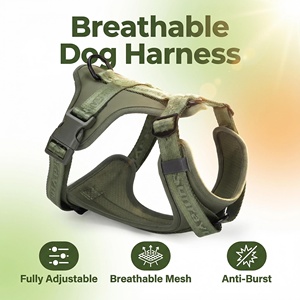 Fabricante de Coleiras para Cães, Novas Cores da Moda, Material de Tecido Sólido Acolchoado, Respirável e Ajustável, Coleira para Cães que Não Puxa - Product Image 3
