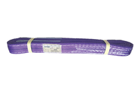 Provina 1T 2T 3T Sangle plate de levage 100% polyester haute résistance pour grue, levage industriel et powerlifting