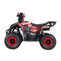 Quad Tao Motor 2027, nouveau modèle automatique avec frein à disque inversé, jantes de 7 pouces, 110 cm³, transmission par chaîne, ATV pour enfants avec certification CE EPA