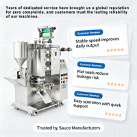 Machine d'emballage automatique de remplissage et de scellage de liquides à prix d'usine pour les produits de ketchup, de sauce, d'huile, de jus et de pâte