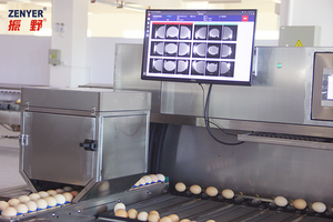 เครื่องตรวจไข่อัจฉริยะเทคโนโลยีใหม่เครื่องตรวจจับไข่ AI อุปกรณ์ตรวจสอบ<span class=keywords><strong>ไข่</strong></span>สกปรก - Product Image 2