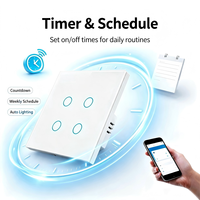 Interruptor de pared táctil WiFi Tuya de un solo cable con marco de hierro, dispositivo de temporizador remoto, compatible con Alexa, Yandex, Alice, interruptor de luz inteligente para el hogar