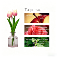 Ensemble diffuseur de parfum personnalisé, parfum longue durée, écologique, sans alcool, senteur fraîche, fleurs séchées décoratives, plantes