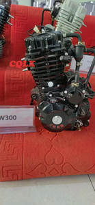 Ensemble moteur de moto refroidi par eau 250cc 300cc <span class=keywords><strong>350cc</strong></span>, moteur vertical de tricycle avec arbre d'équilibrage - Product Image 4