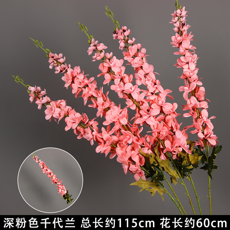 Deep pink Chiyo Ranchi