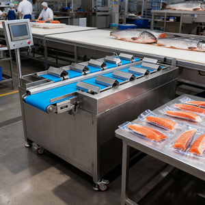 Balances combinées de pesage par lots multi-têtes WHD16 pour filets de poisson congelés, saumon, pangasius - Product Image 1