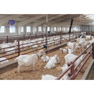 Maison moderne pour chèvres Conception préfabriquée Structure en acier Abri pour bétail et moutons - Product Image 1