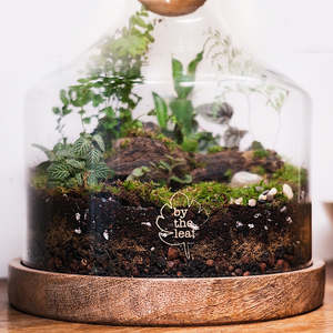 Rêves Tropicaux dans un Carafe : Terrarium Lumineux en Mousse avec Couvercle en Liège et Support en Bois Rétro - Product Image 4