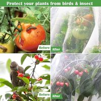 Rouleau de filet anti-insectes 40-60 mailles, maille en HDPE stabilisée aux UV pour la protection des serres et l'agriculture