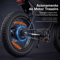 Vélo électrique ZUMI US Brazil Stock 48V à pneus larges 750W pour adultes avec porte-bagages arrière et batterie amovible, vente en gros OEM ODM