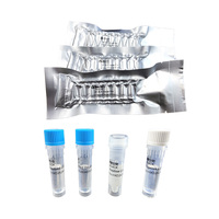Kit de détection du virus du syndrome des taches blanches, test PCR pour crevettes, test PCR en temps réel WSSV, kit de test PCR lyophilisé