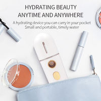 Mini Rociador Facial Iónico Portátil Recargable por USB de 20 ml, Humidificador Facial Nano para Uso Doméstico, Enchufe Estadounidense, Precio de Fábrica