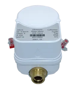 Medidor de agua ultrasónico inteligente, medidor de flujo de agua ultrasónico Digital, bajo modelo, LoRawan, Mbus, Modbus, Clase B 213C