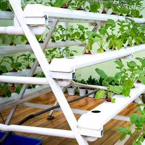 Système hydroponique NFT en forme de A, canal NFT, étagère hydroponique, kit de culture hydroponique pour laitue et légumes - Product Image 3