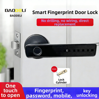 Serrure de porte en alliage d'aluminium Baodeli Graffiti avec empreinte digitale, clavier, mot de passe et déverrouillage par téléphone - Poignée électronique durable pour intérieur