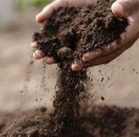 Ligne de production chinoise Compost à libération lente Engrais organique en poudre pour l'agriculture Pelouse à fleurs végétales