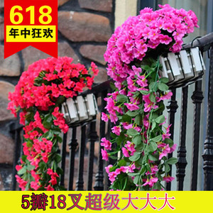 Planta Artificial Colgante de Violeta, 5 Pétalos, Decoración Interior, Flor de Seda de Alta Simulación, Adorno de Pared - Product Image 4