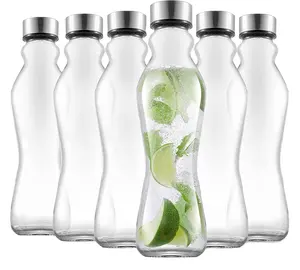 2020 fabrika fiyat bahar cam su şişeleri seti 6 - 18 oz cam şişeler paslanmaz çelik kapaklar-cam içme şişeleri