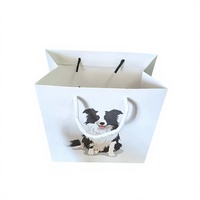 Sacs de shopping en papier couché personnalisés avec logo et poignées en corde de papier pour emballage cadeau de marque de magasin d'animaux – Vente en gros